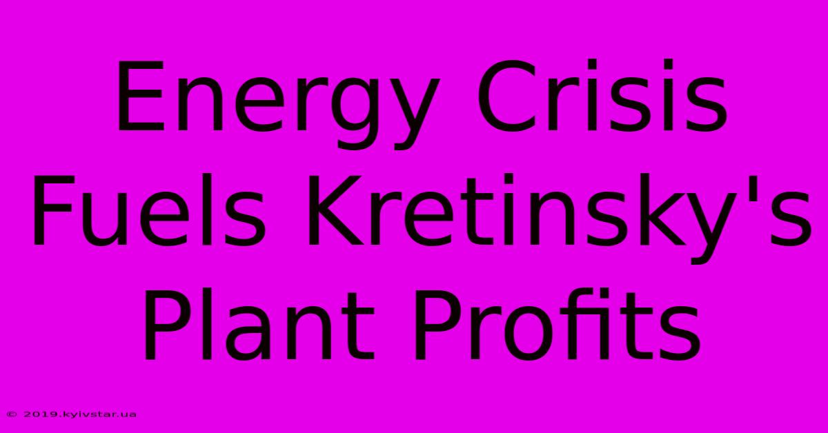 Energy Crisis Fuels Kretinsky's Plant Profits