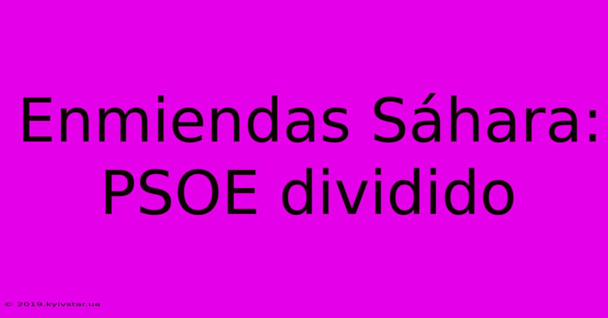 Enmiendas Sáhara:  PSOE Dividido