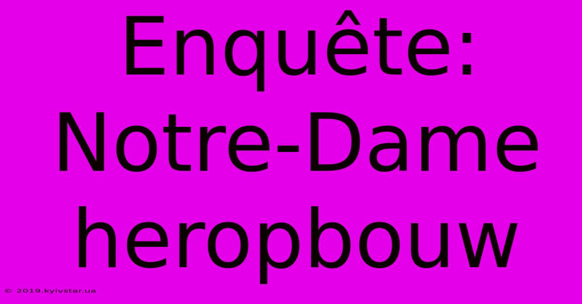 Enquête: Notre-Dame Heropbouw