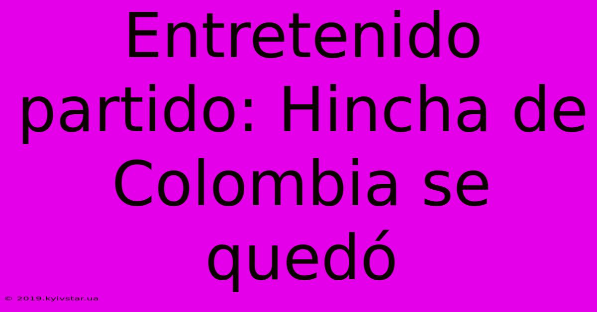 Entretenido Partido: Hincha De Colombia Se Quedó