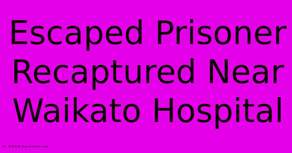 Escaped Prisoner Recaptured Near Waikato Hospital