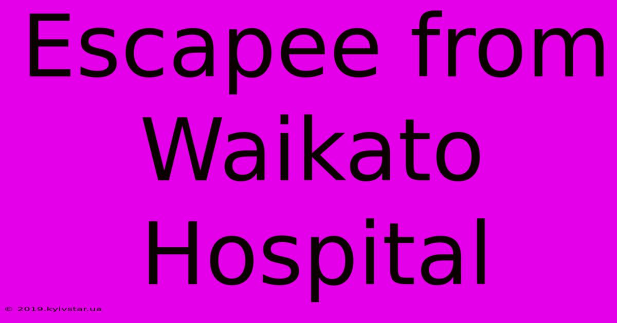 Escapee From Waikato Hospital