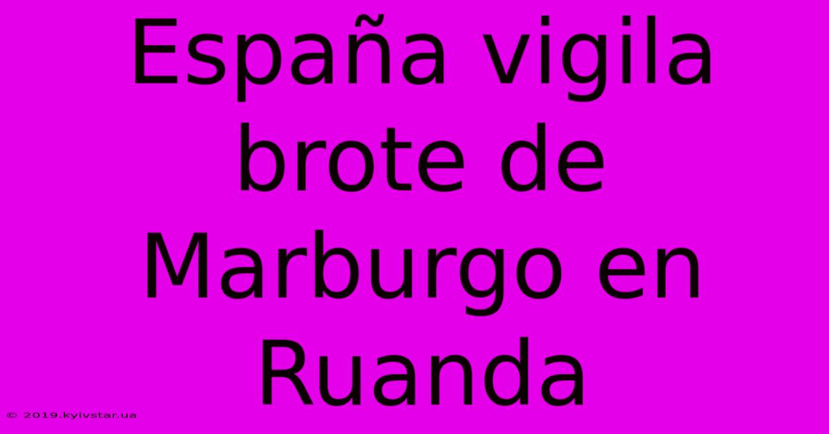 España Vigila Brote De Marburgo En Ruanda