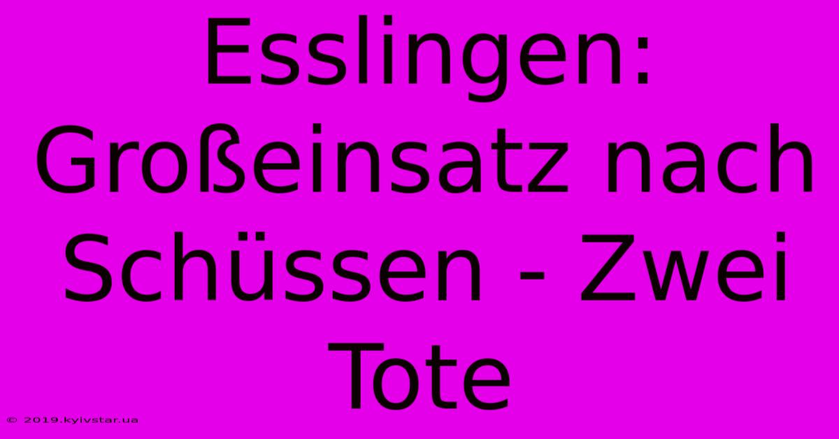 Esslingen: Großeinsatz Nach Schüssen - Zwei Tote 