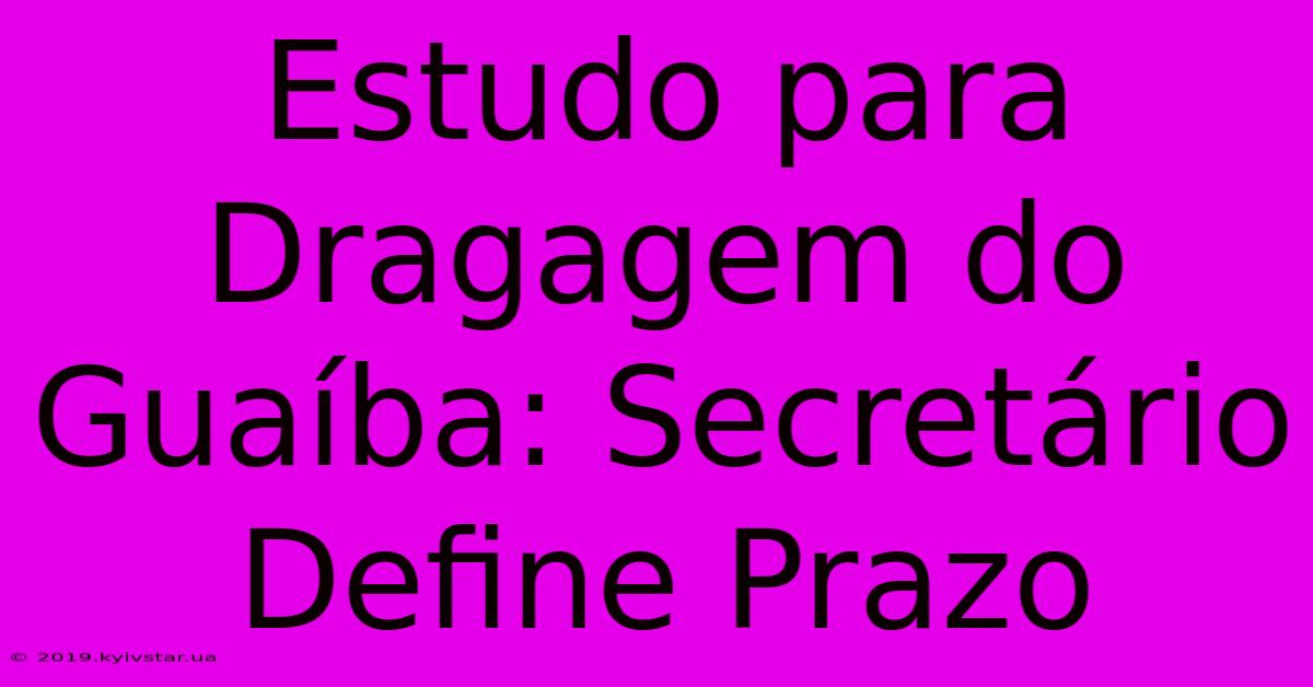 Estudo Para Dragagem Do Guaíba: Secretário Define Prazo