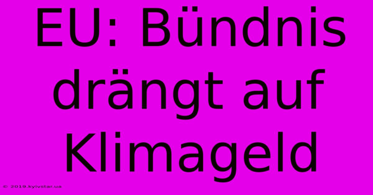 EU: Bündnis Drängt Auf Klimageld