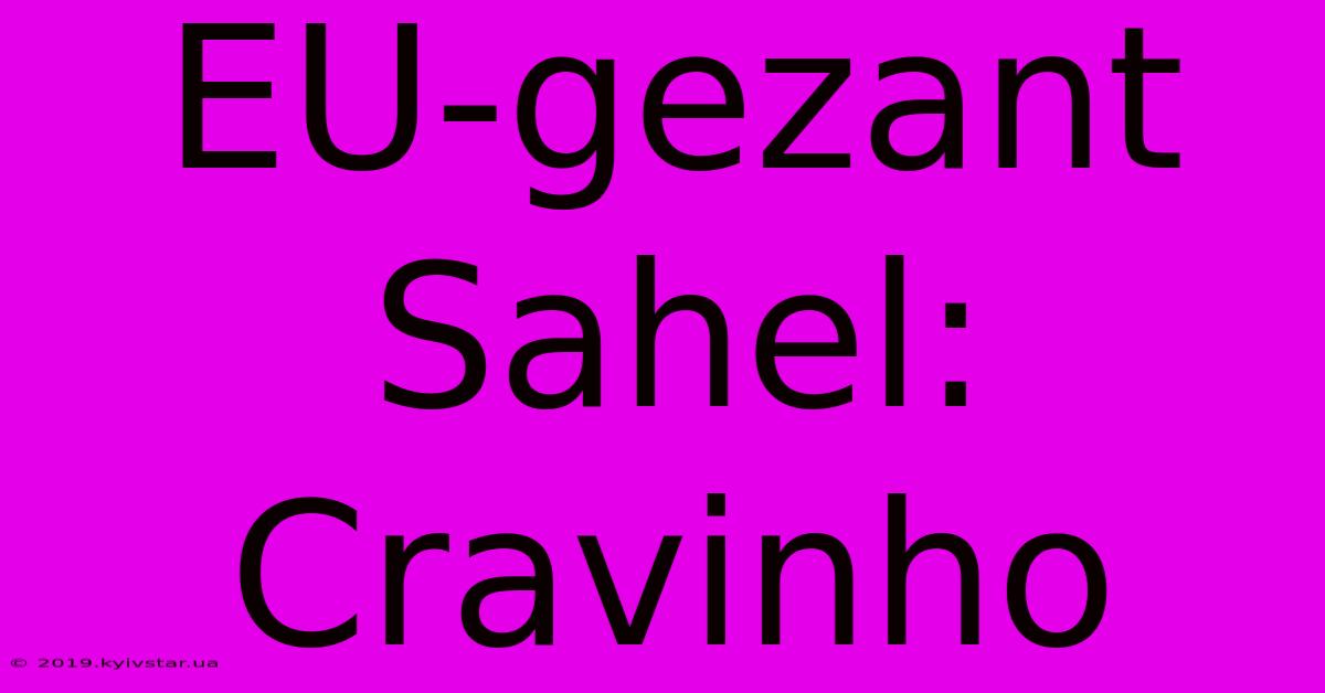 EU-gezant Sahel: Cravinho