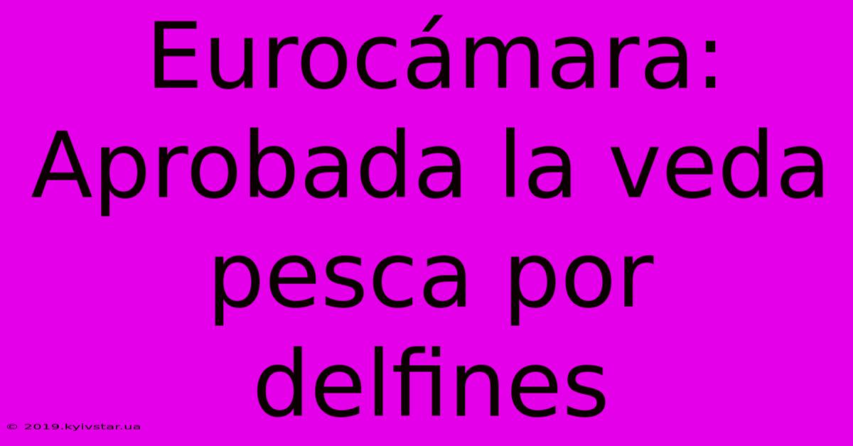Eurocámara:  Aprobada La Veda Pesca Por Delfines