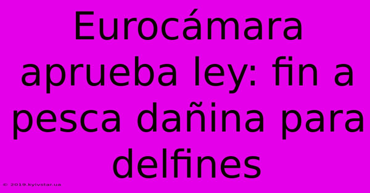 Eurocámara Aprueba Ley: Fin A Pesca Dañina Para Delfines