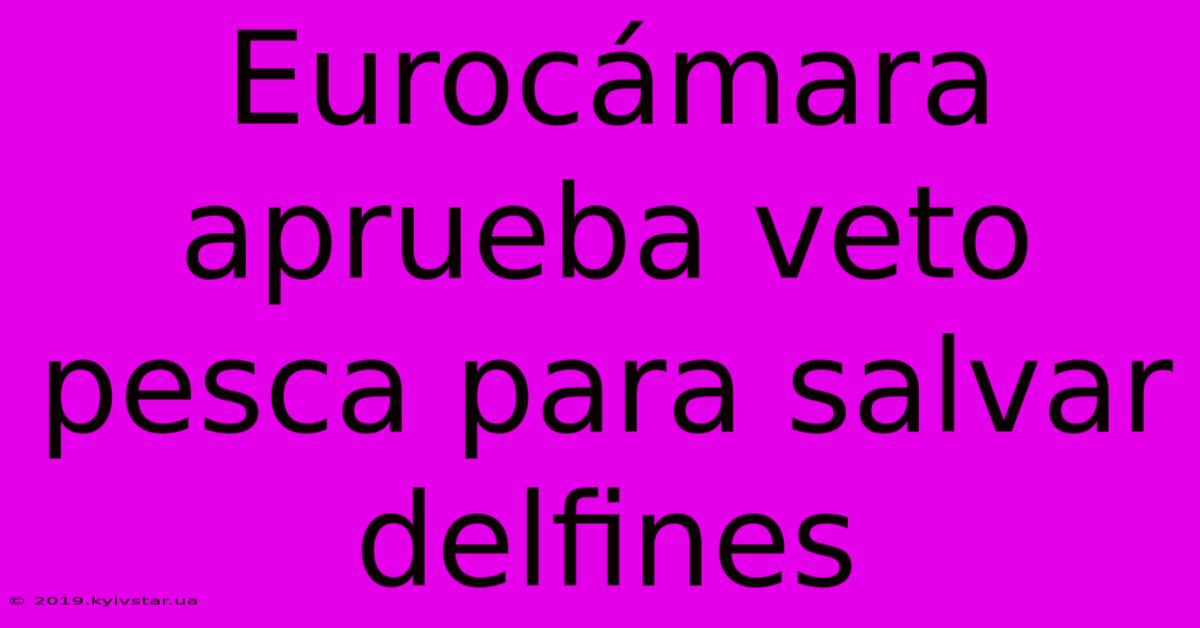 Eurocámara Aprueba Veto Pesca Para Salvar Delfines