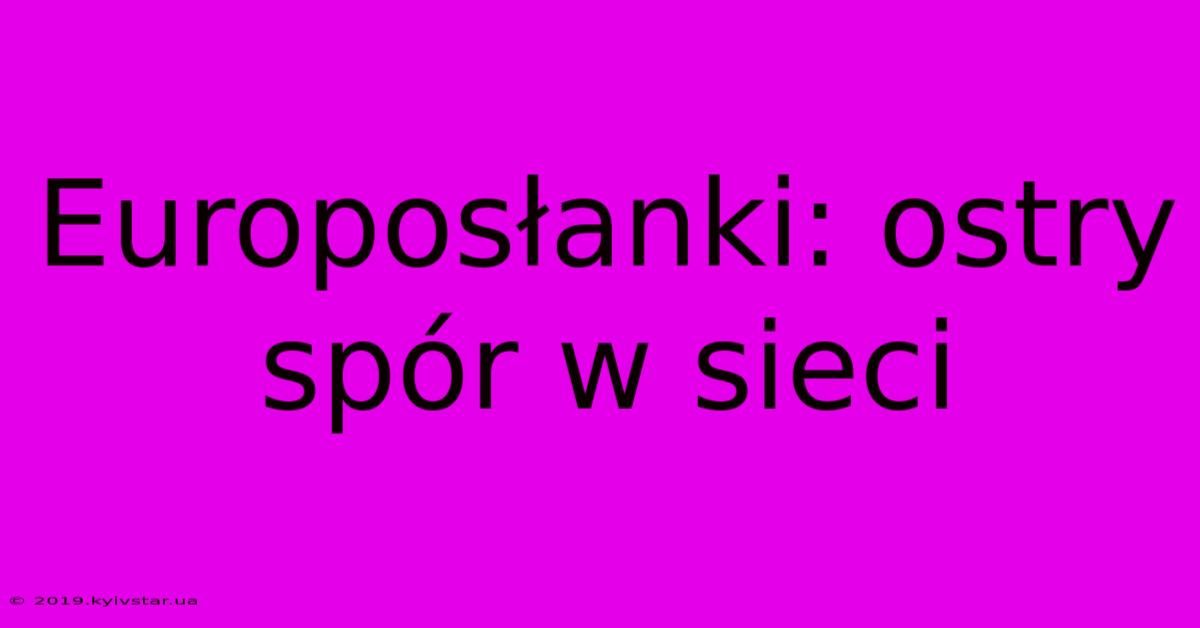 Europosłanki: Ostry Spór W Sieci