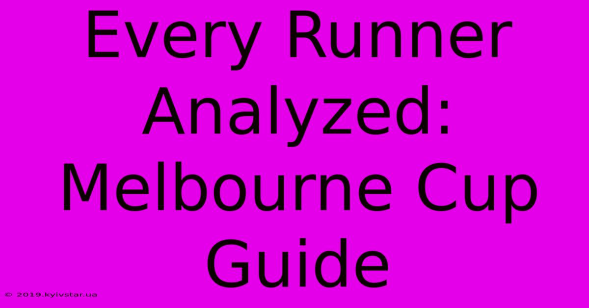 Every Runner Analyzed: Melbourne Cup Guide 