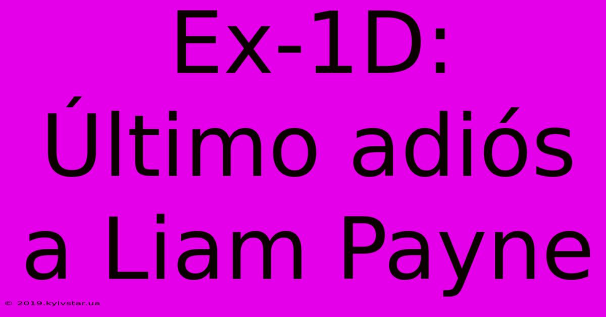 Ex-1D: Último Adiós A Liam Payne