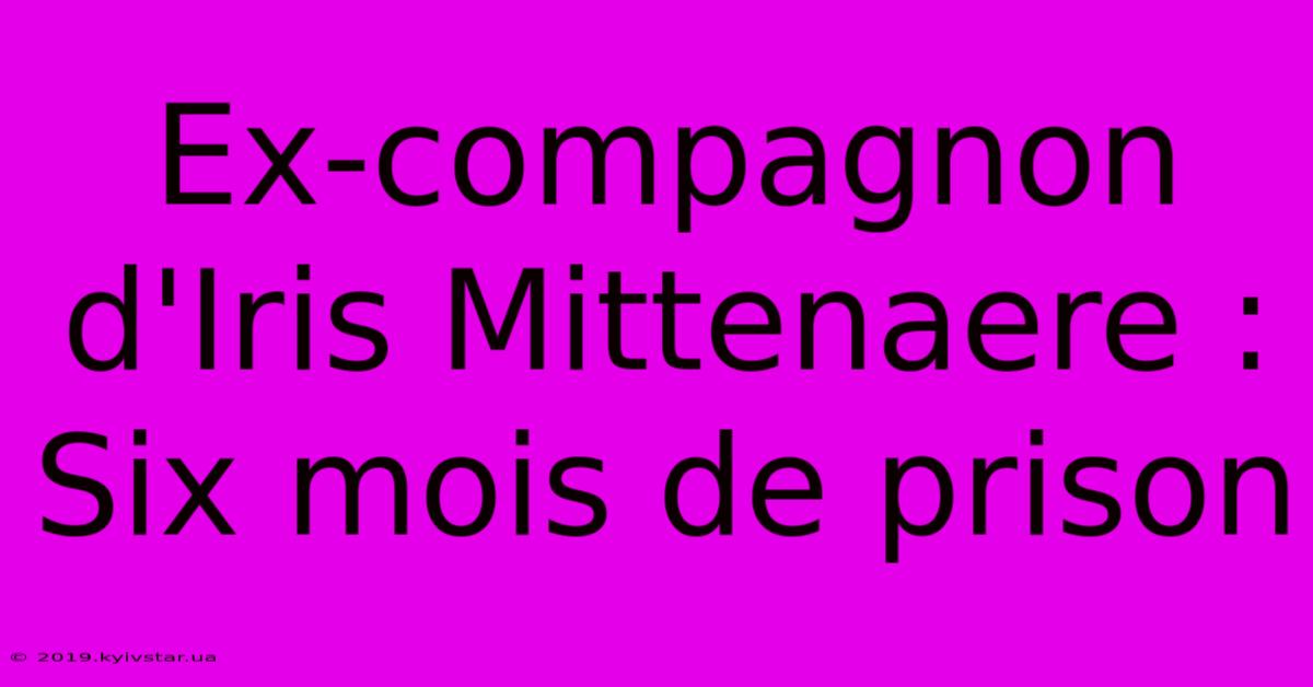 Ex-compagnon D'Iris Mittenaere : Six Mois De Prison