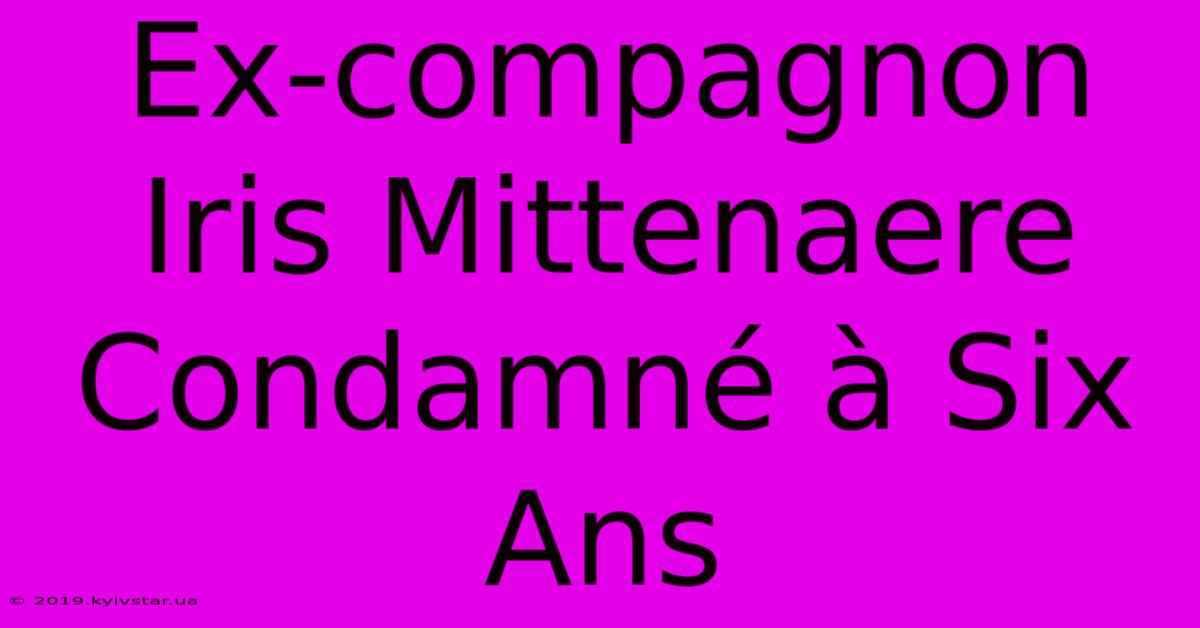 Ex-compagnon Iris Mittenaere Condamné À Six Ans