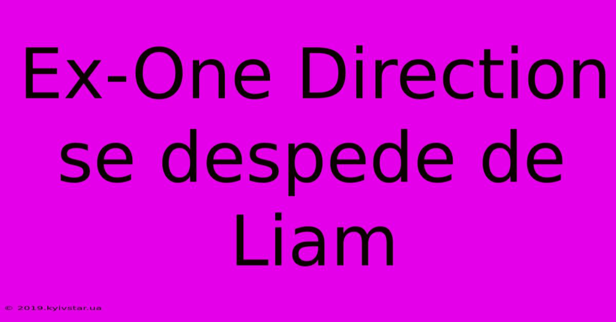 Ex-One Direction Se Despede De Liam