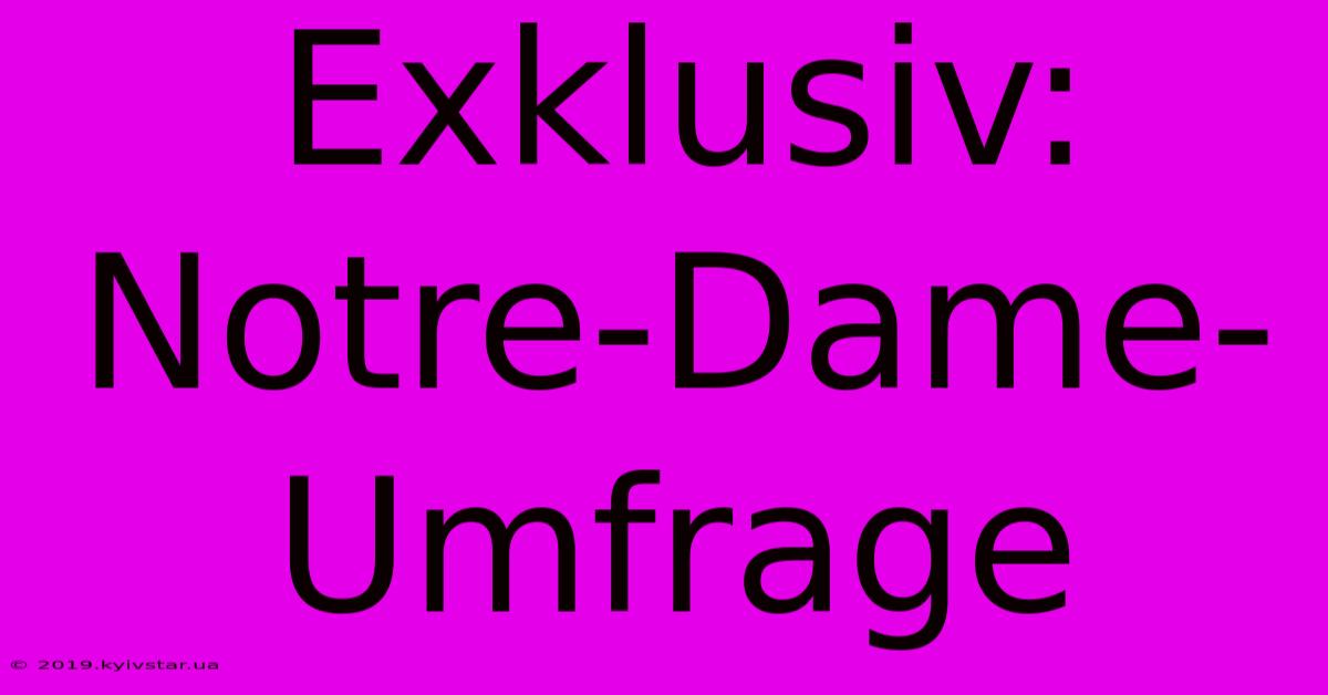 Exklusiv: Notre-Dame-Umfrage