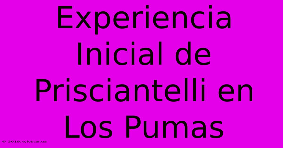 Experiencia Inicial De Prisciantelli En Los Pumas 