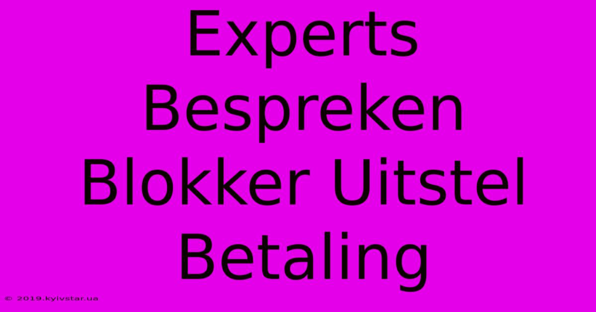 Experts Bespreken Blokker Uitstel Betaling