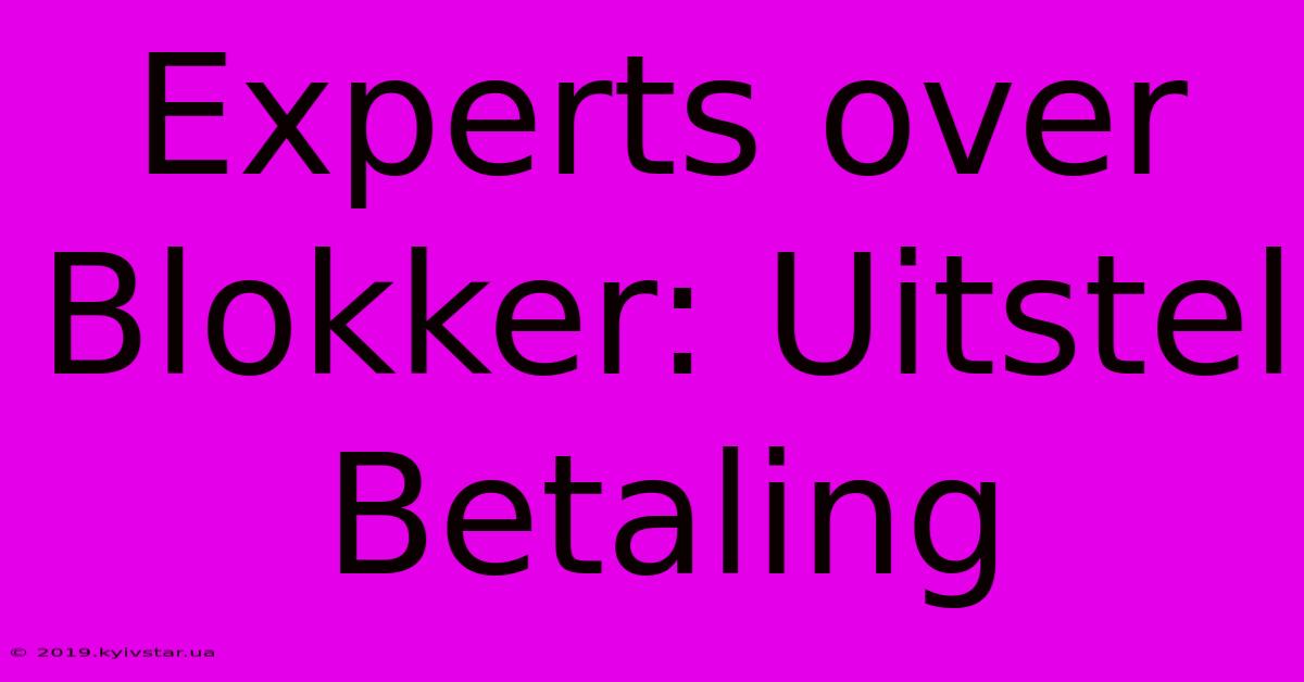 Experts Over Blokker: Uitstel Betaling