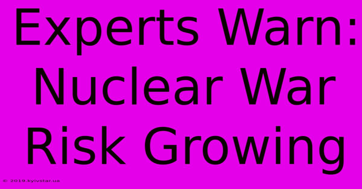 Experts Warn: Nuclear War Risk Growing