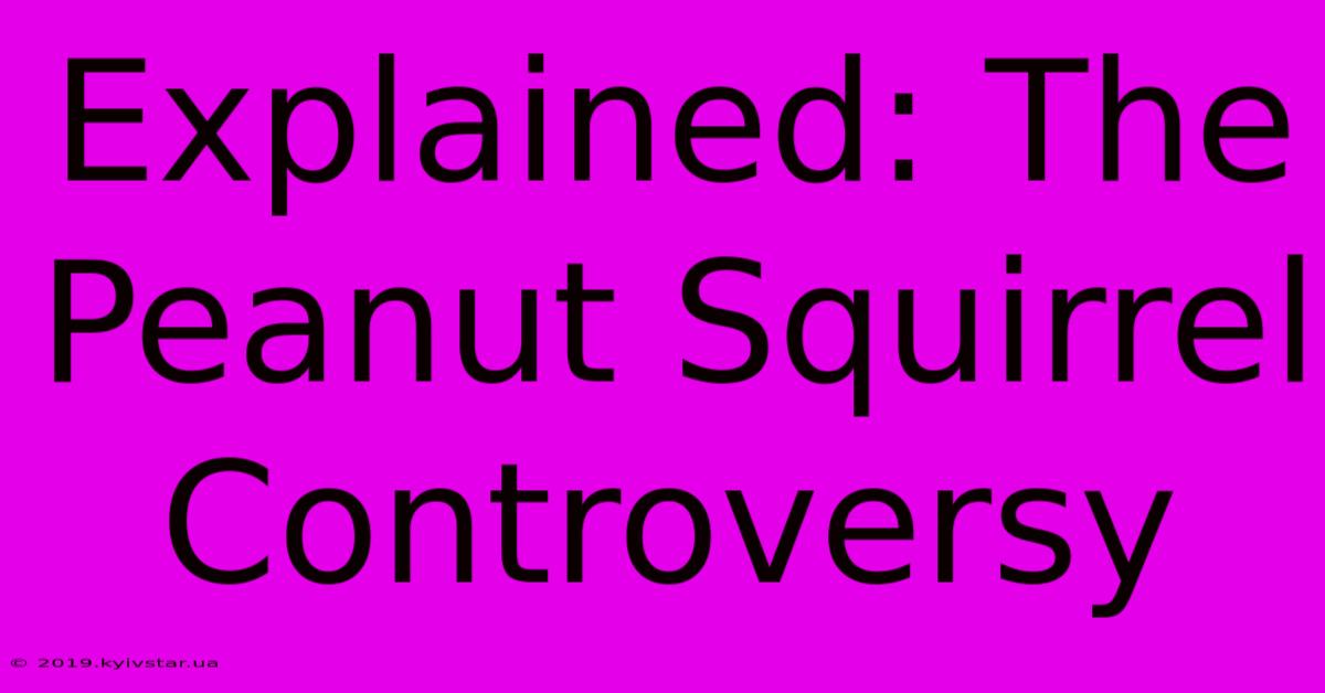 Explained: The Peanut Squirrel Controversy