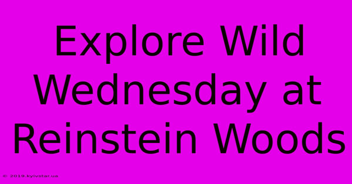 Explore Wild Wednesday At Reinstein Woods