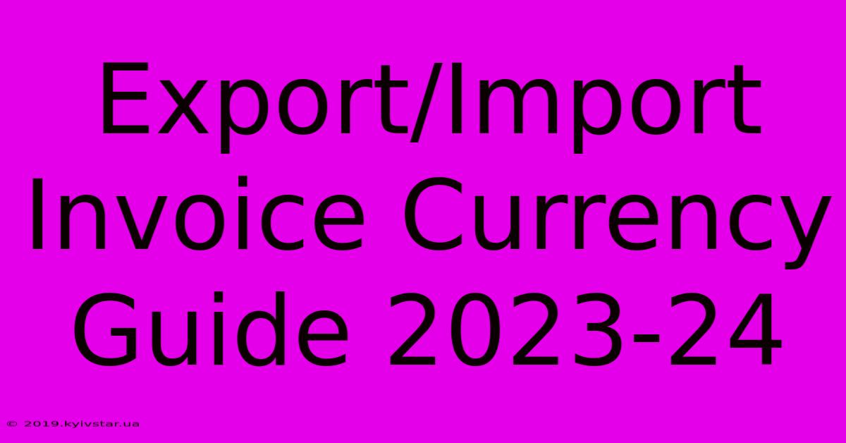 Export/Import Invoice Currency Guide 2023-24