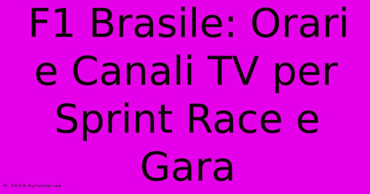 F1 Brasile: Orari E Canali TV Per Sprint Race E Gara