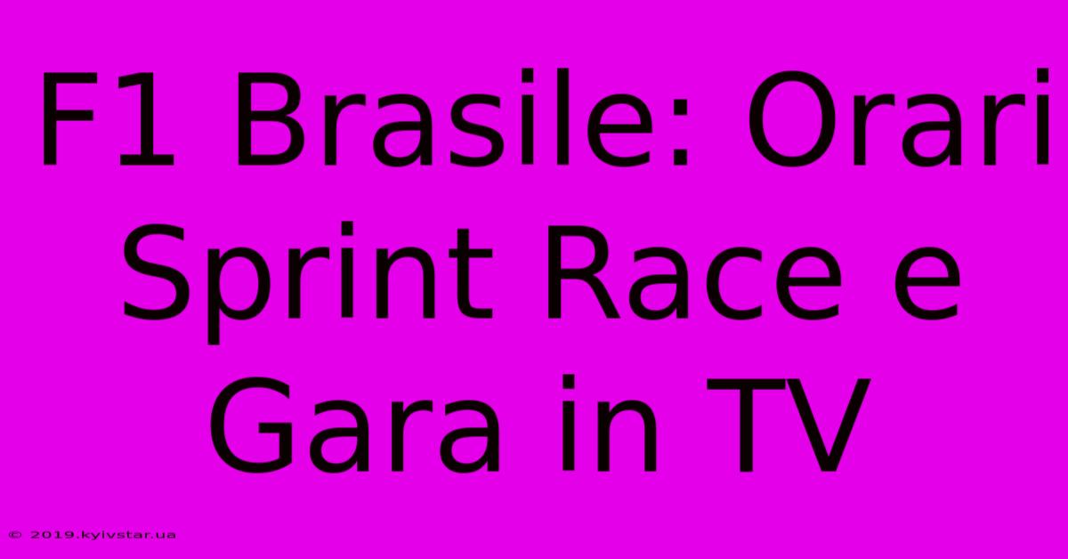 F1 Brasile: Orari Sprint Race E Gara In TV