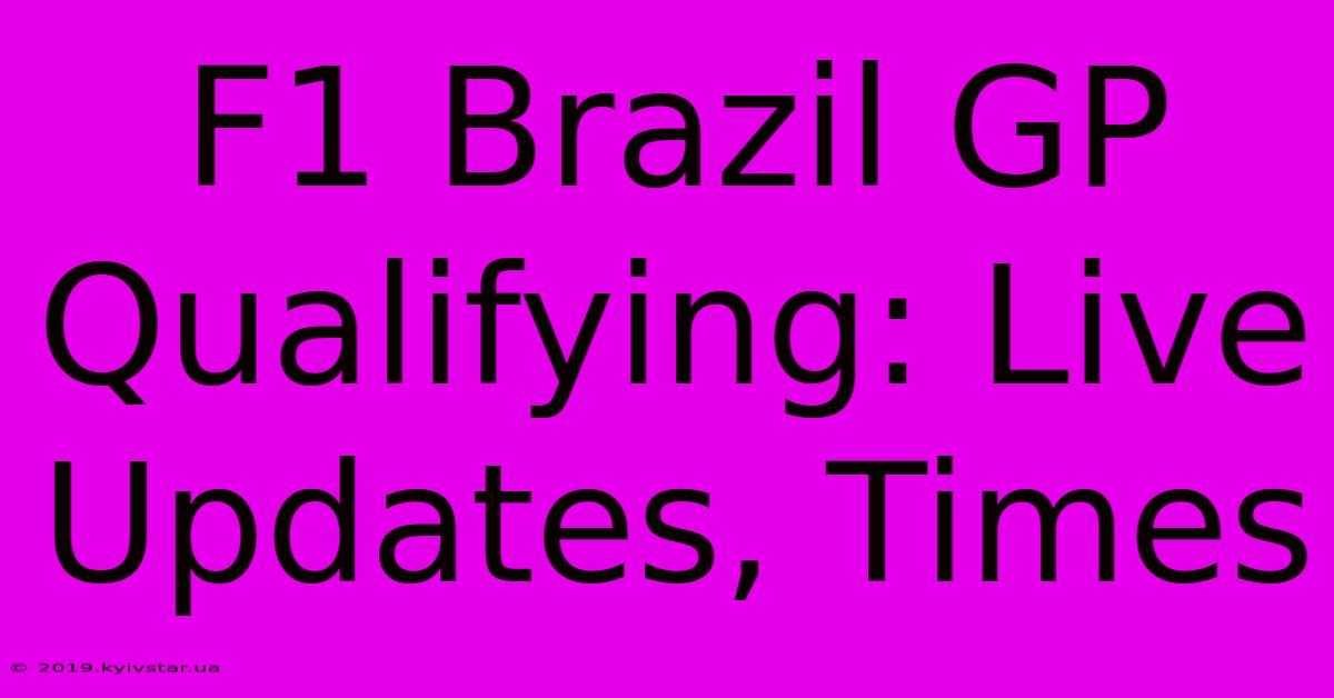 F1 Brazil GP Qualifying: Live Updates, Times