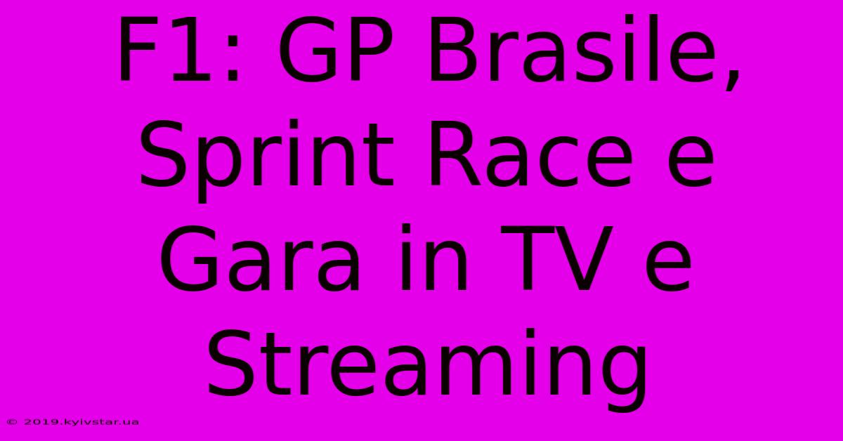 F1: GP Brasile, Sprint Race E Gara In TV E Streaming