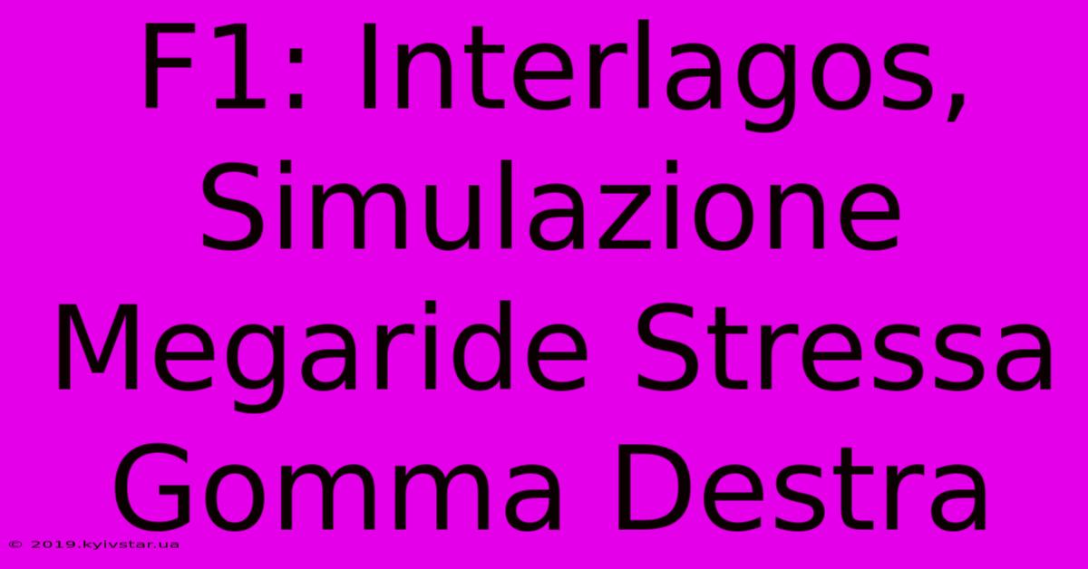 F1: Interlagos, Simulazione Megaride Stressa Gomma Destra