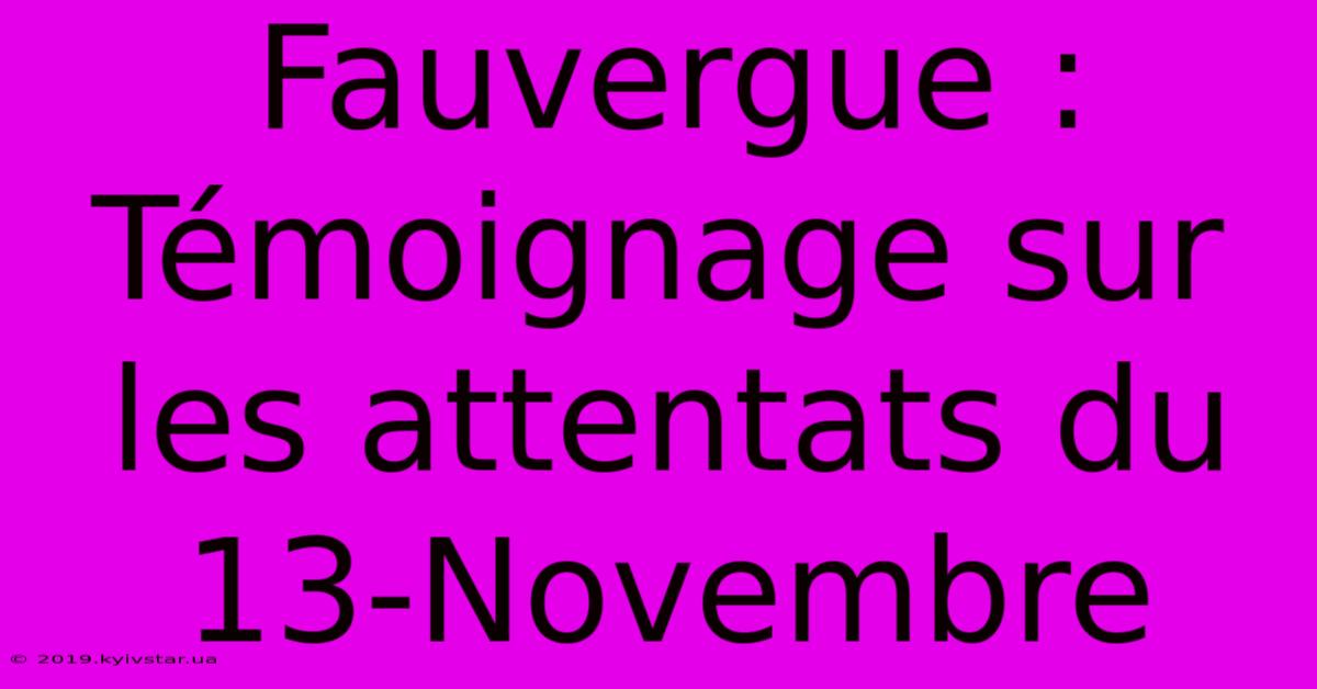 Fauvergue : Témoignage Sur Les Attentats Du 13-Novembre