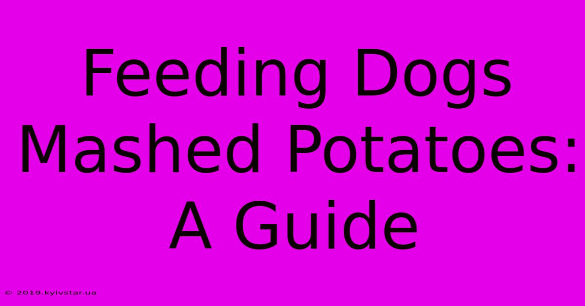 Feeding Dogs Mashed Potatoes: A Guide