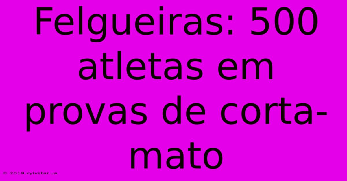 Felgueiras: 500 Atletas Em Provas De Corta-mato