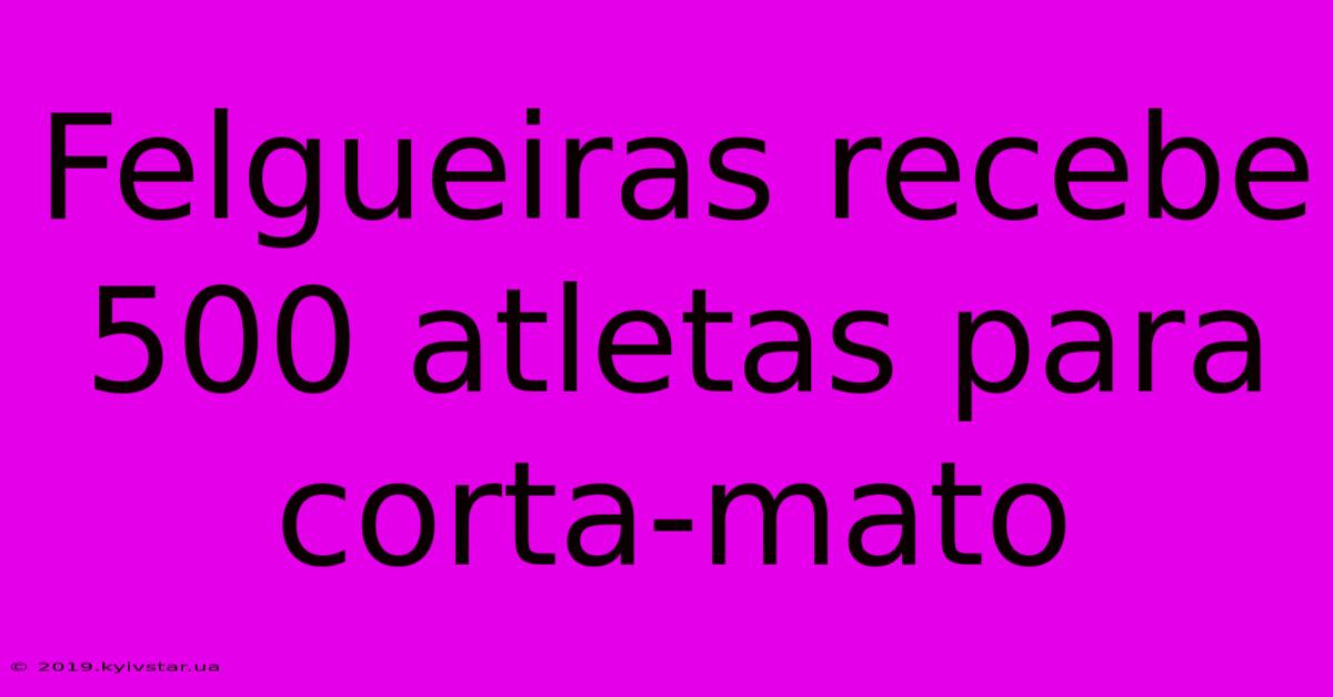 Felgueiras Recebe 500 Atletas Para Corta-mato