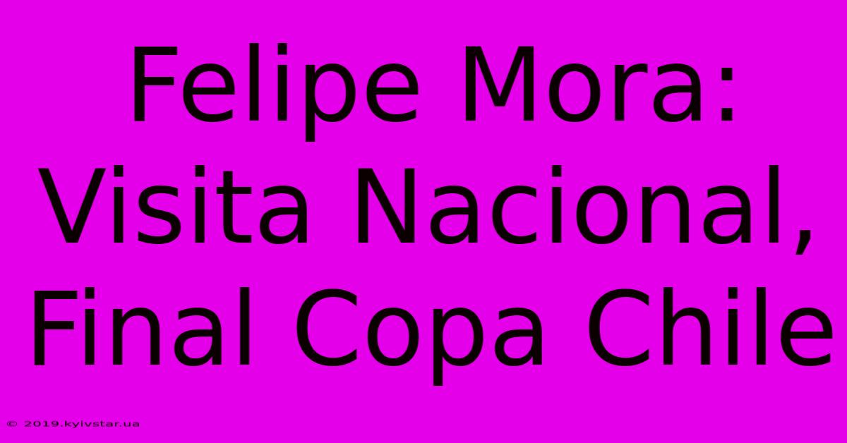 Felipe Mora: Visita Nacional, Final Copa Chile