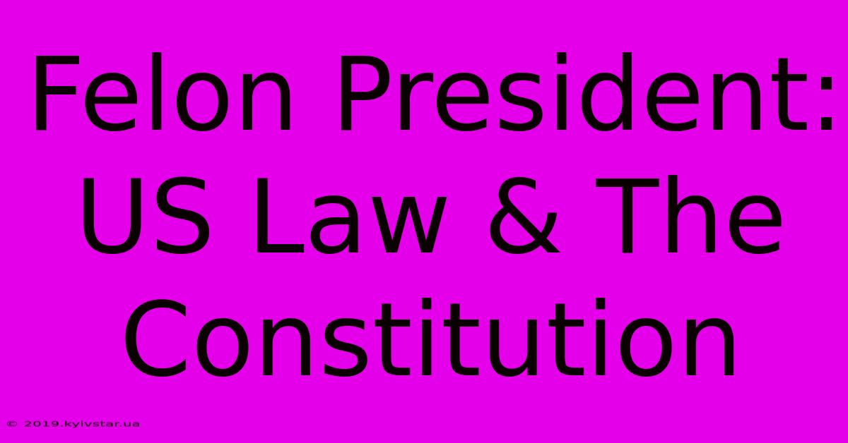 Felon President: US Law & The Constitution