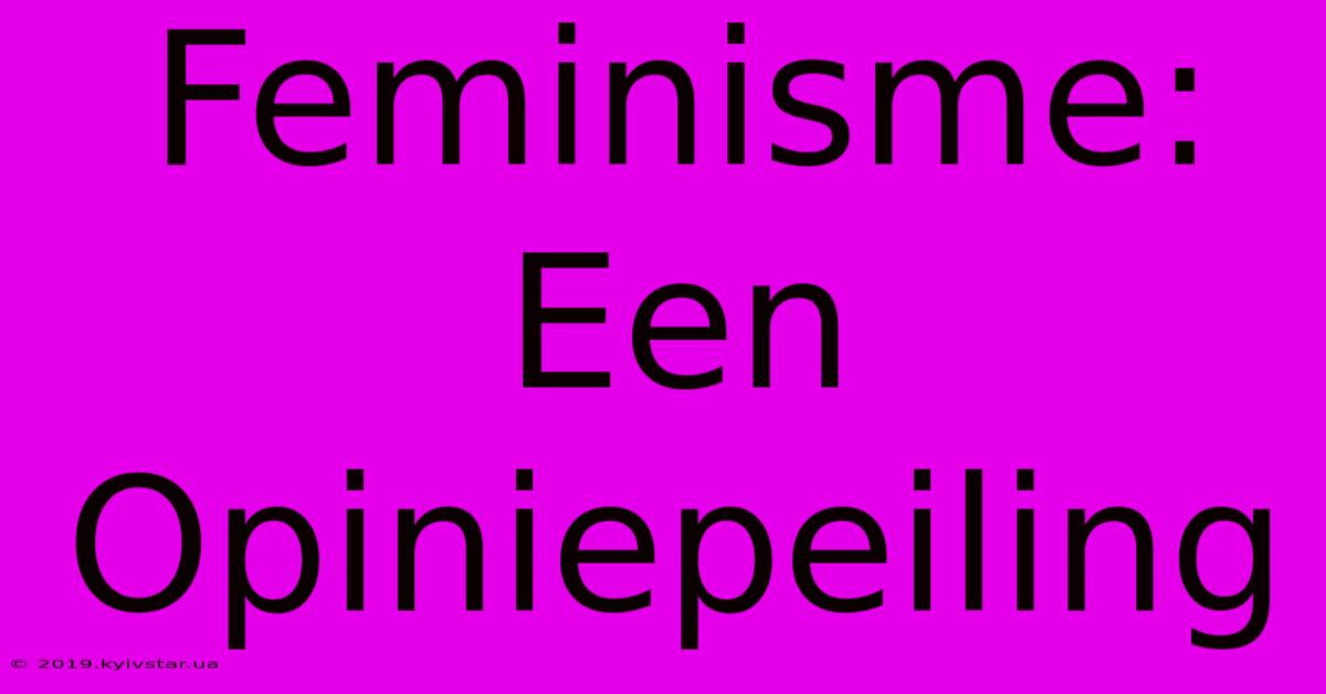 Feminisme: Een Opiniepeiling