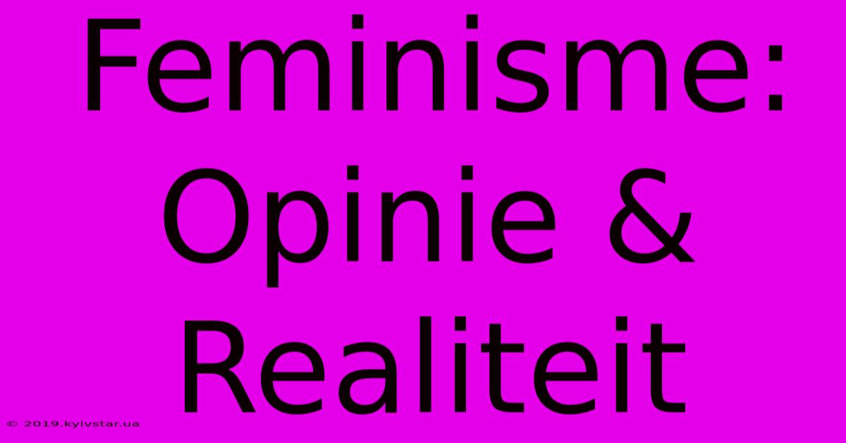 Feminisme: Opinie & Realiteit