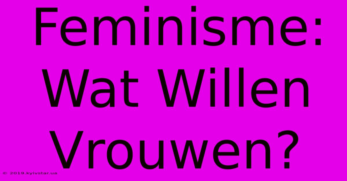 Feminisme: Wat Willen Vrouwen?