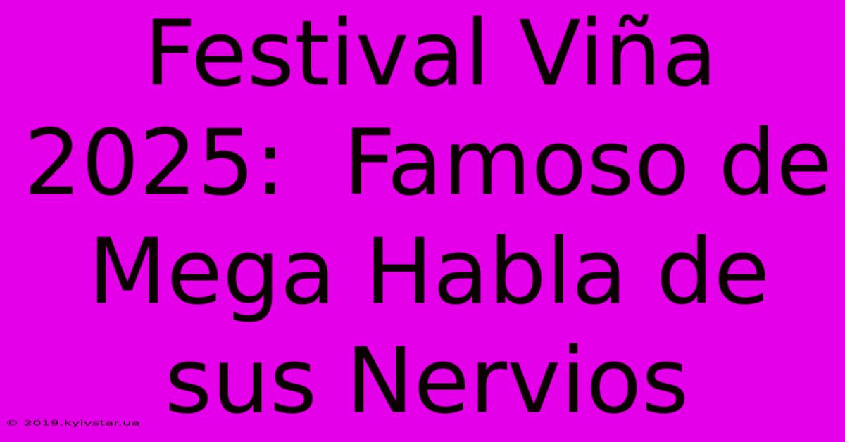 Festival Viña 2025:  Famoso De Mega Habla De Sus Nervios