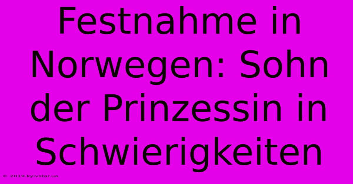 Festnahme In Norwegen: Sohn Der Prinzessin In Schwierigkeiten