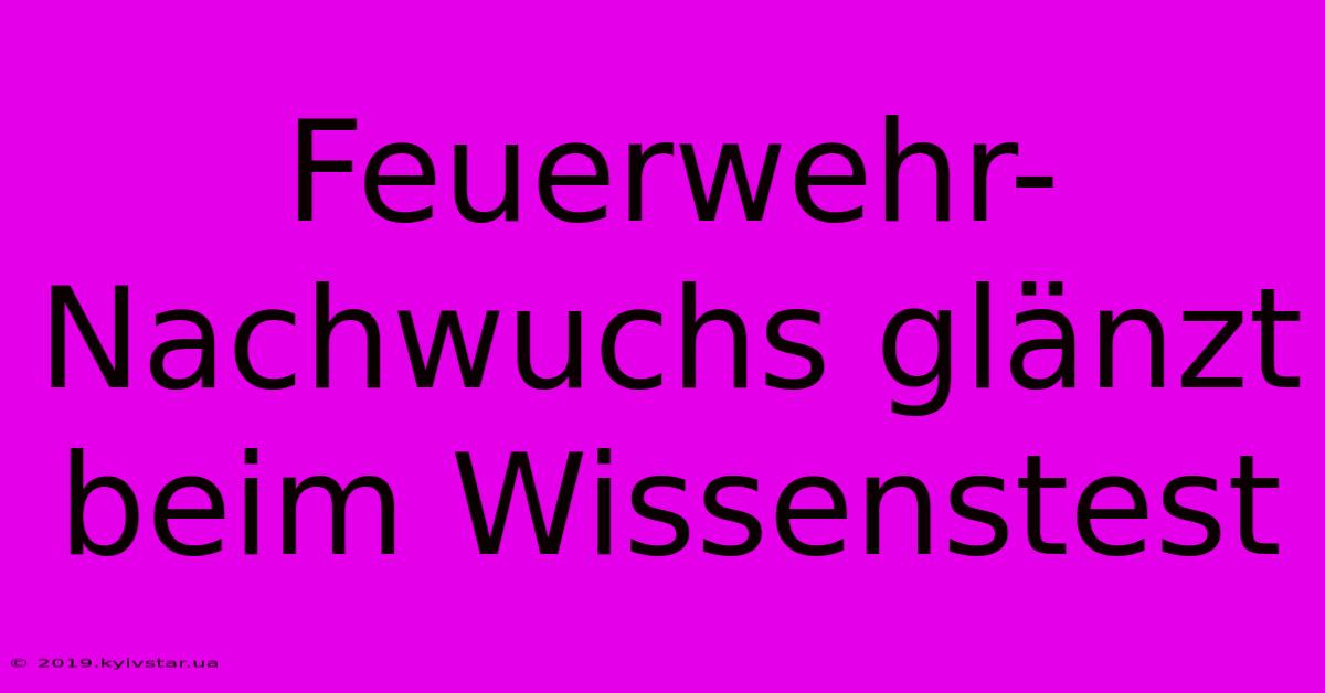 Feuerwehr-Nachwuchs Glänzt Beim Wissenstest