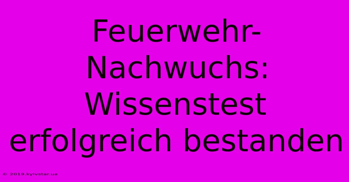 Feuerwehr-Nachwuchs: Wissenstest Erfolgreich Bestanden