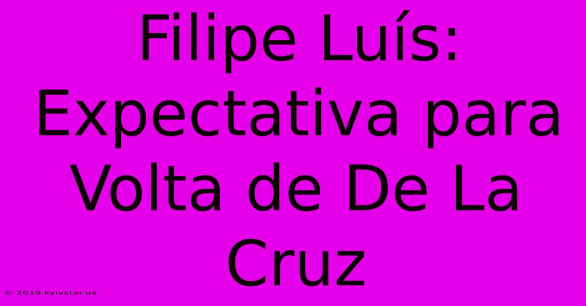 Filipe Luís: Expectativa Para Volta De De La Cruz 