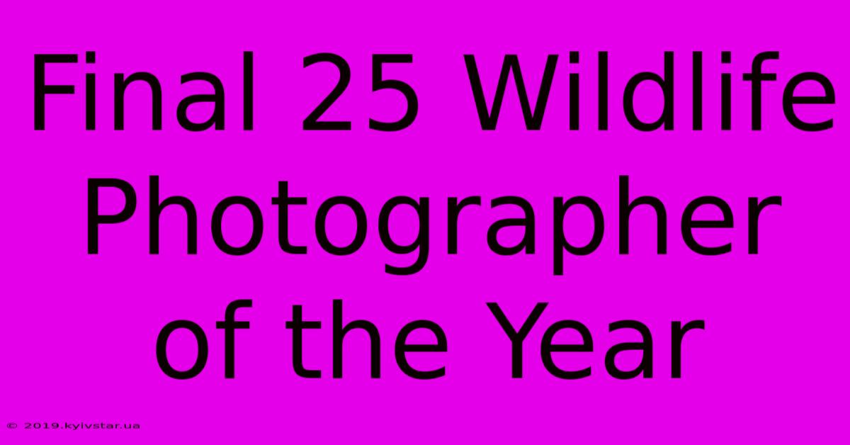 Final 25 Wildlife Photographer Of The Year