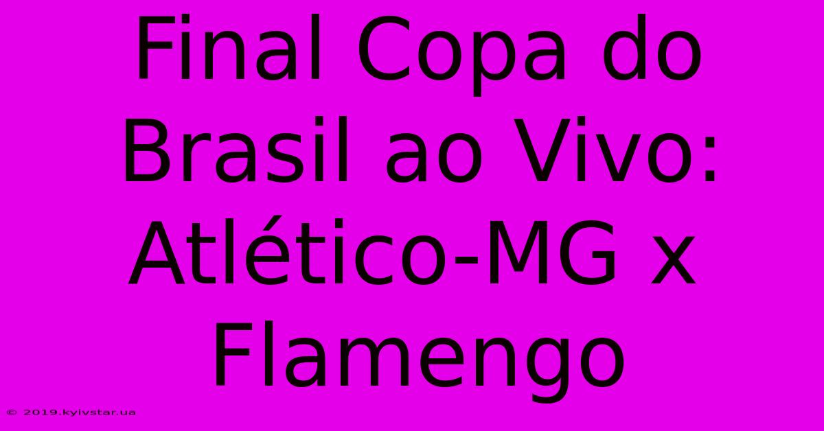 Final Copa Do Brasil Ao Vivo: Atlético-MG X Flamengo