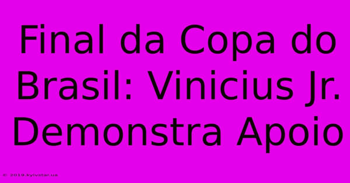 Final Da Copa Do Brasil: Vinicius Jr. Demonstra Apoio 